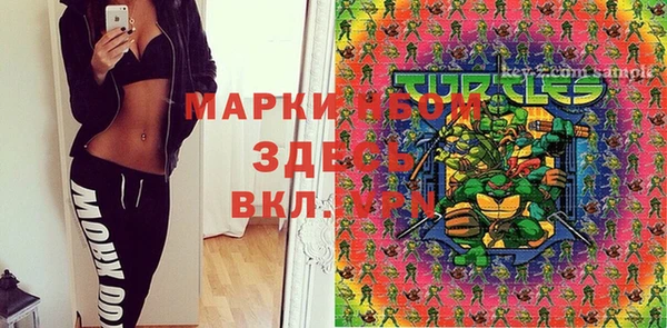 дмт Протвино